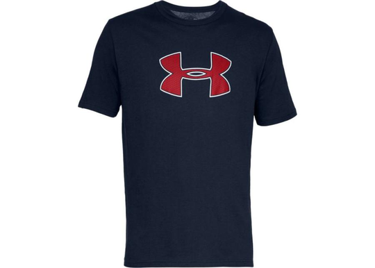 Miesten treenipaita Under Armour UA Big Logo SS M 1329583-408