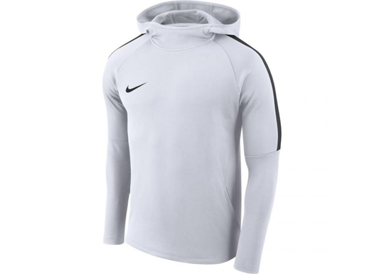 Miesten huppari Nike Dry Academy18 Hoodie PO M AH9608-100