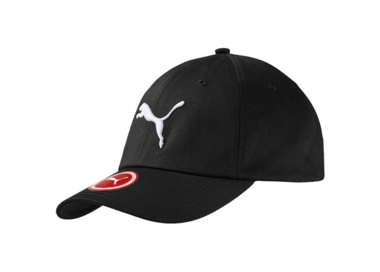Lippalakki Puma Essential Cap Big Cat 052919 01