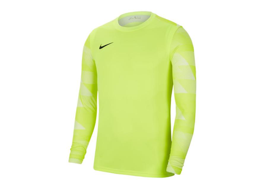 Miesten treenipaita Nike Dry Park IV M CJ6066-702