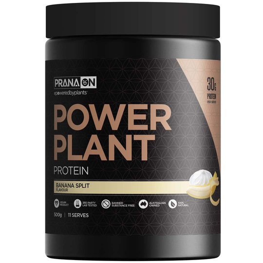 Pranaon Power Plant Protein 500 G