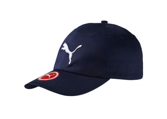 Lippalakki Puma Essential Cap Big Cat 052919 03