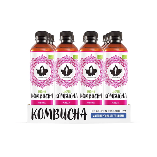 12 X Puhdistamo Luomu Kombucha 370ml