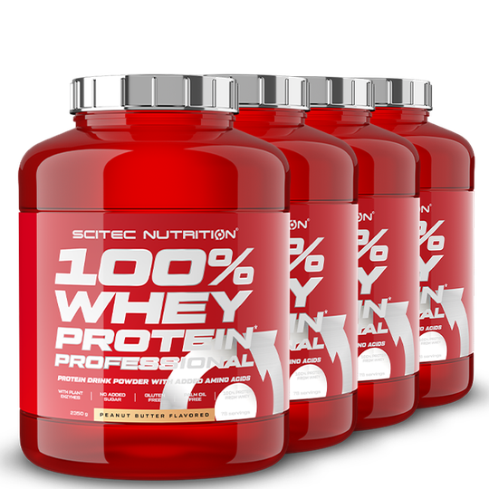 4 x 100% Whey Protein Professional, 2350 g, BIG BUY