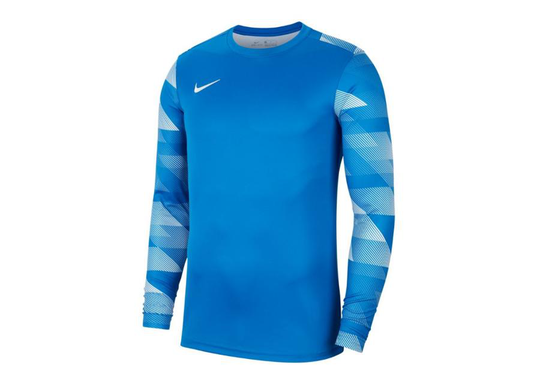 Miesten treenipaita Nike Dry Park IV M CJ6066-463