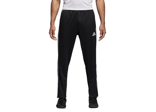 Miesten collegehousut Adidas Core 18 TR PNT M CE9036
