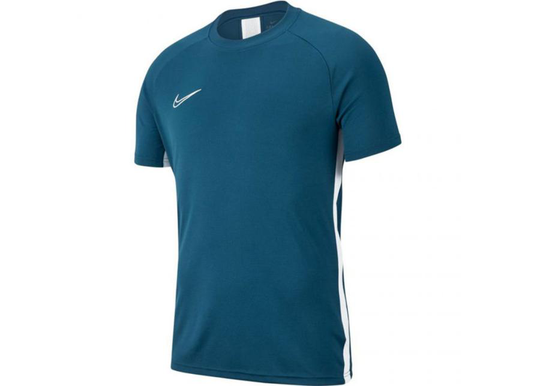 Lasten urheilupaita Nike Dry Academy 19 Top SS Jr AJ9261-404