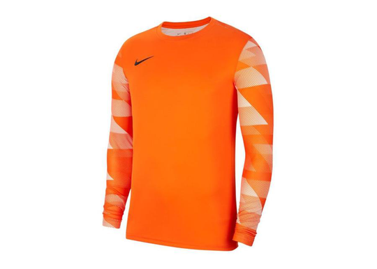 Miesten treenipaita Nike Dry Park IV M CJ6066-819