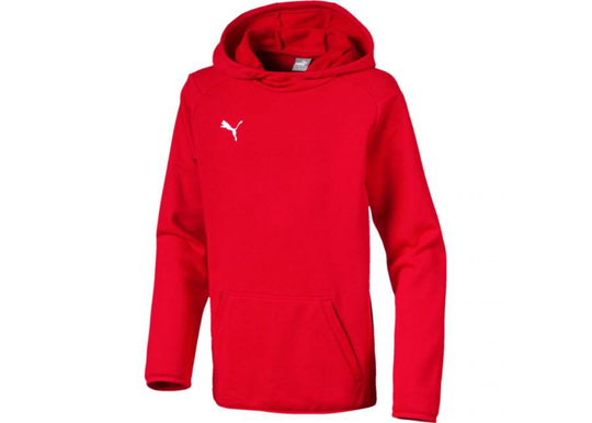 Lasten huppari Puma Liga Casuals Hoody JR 655636 01