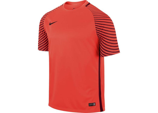 Miesten treenipaita Nike Gardien M 725889-671