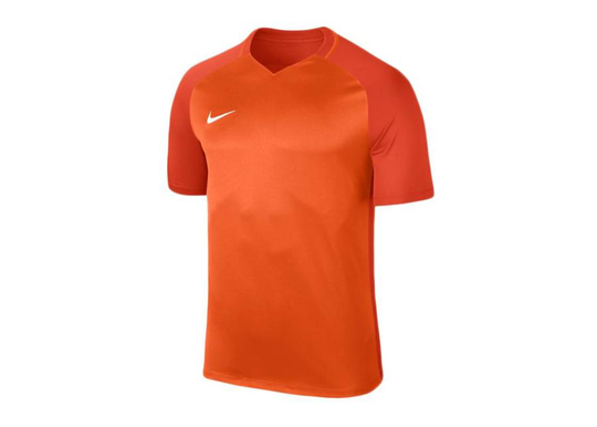 Miesten treenipaita Nike Dry Trophy III Jersey M 881483-815
